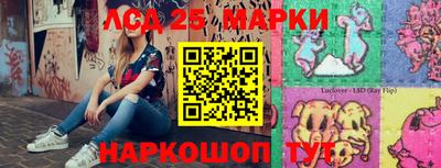 СК Новозыбков