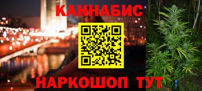 СК Новозыбков