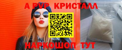 СК Новозыбков