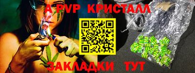 СК Новозыбков