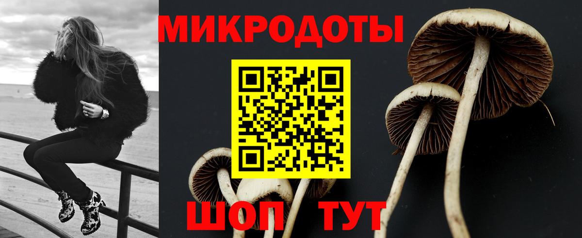 Соль-Илецк  Псилоцибиновые грибы GOLDEN TEACHER  Вход с VPN  Галлюциногенные грибы мухоморы 